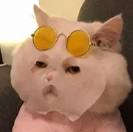 赵MX00001的礼品卡001 59900_1