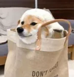 赵MX00001的礼品卡001 59900_2