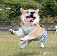 赵MX00001的礼品卡001 59900_4