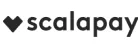 Payment Icon5