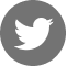 Media icon1