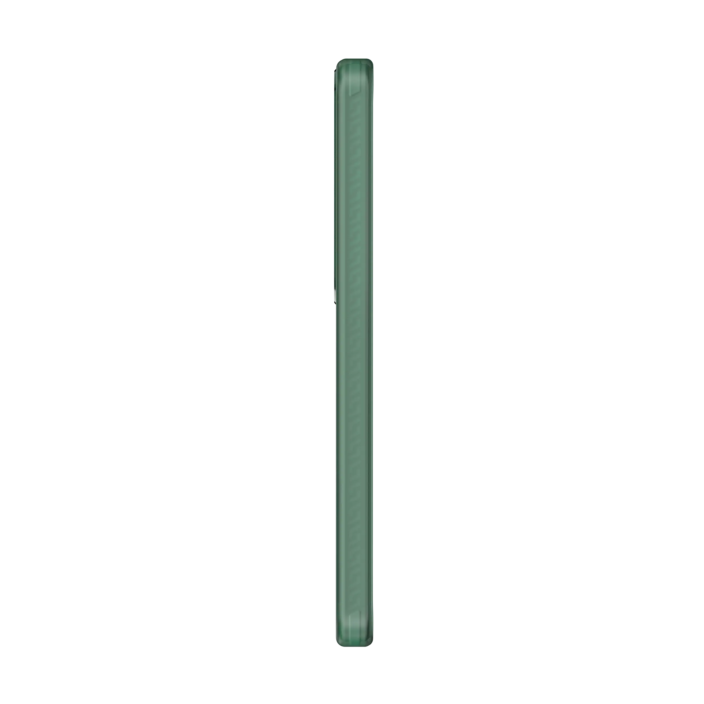 Cover per Reno11 F 5G in PC TPU alluminio Palm Green_4